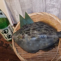 画像339
