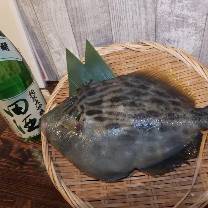 画像339