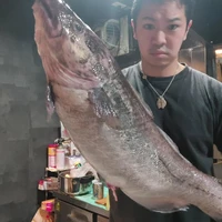画像348