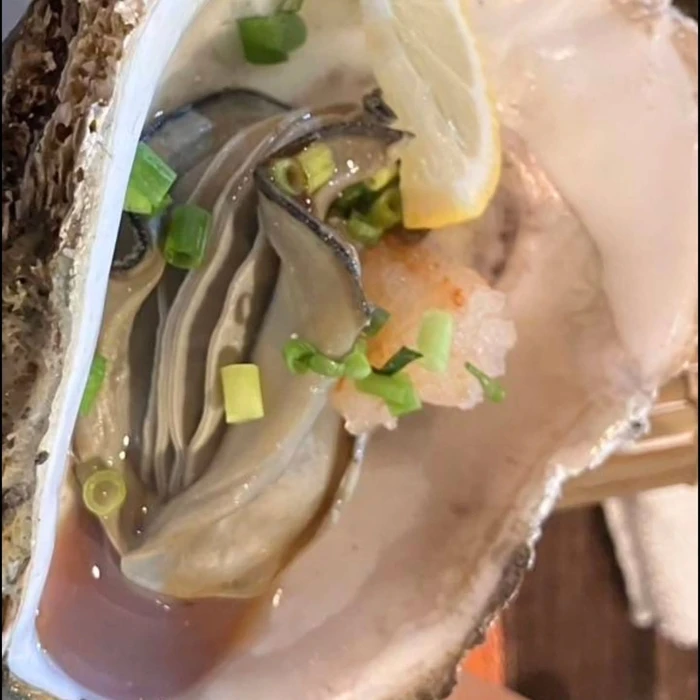 画像447