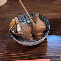 画像497